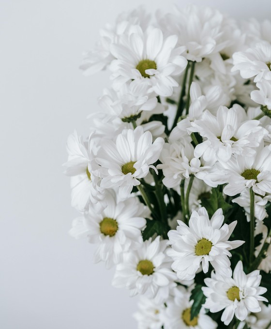 bouquet margherite bianche per funerale Milano
